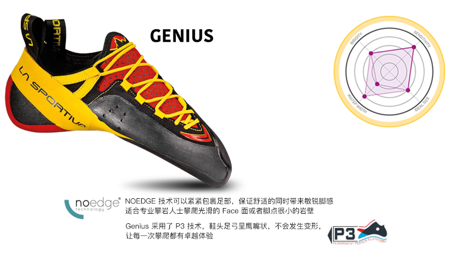 图-12 GENIUS.jpg